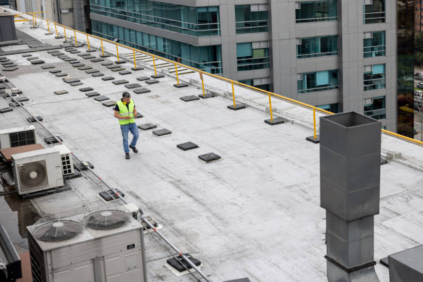 Best Steel Roofing  in Whitaker, PA
