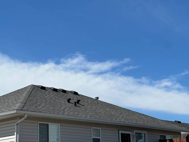 Best Roof Coating and Sealing  in Whitaker, PA